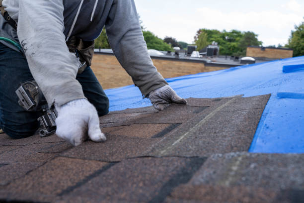 Best Shingle Roofing Installation  in The Crossings, FL